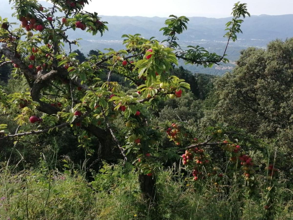 Llobet Espai Rural Slow